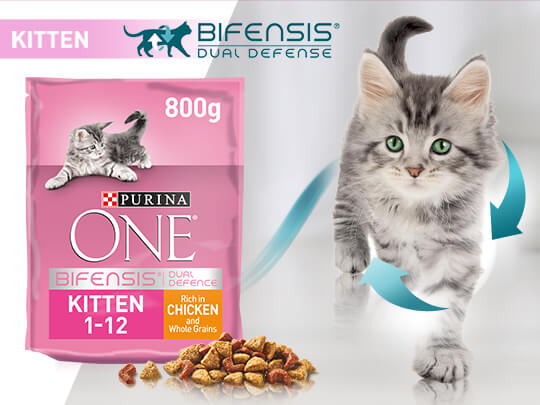 Purina one kitten test best sale